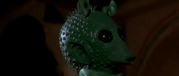 Catfish Species Officially Named After Greedo